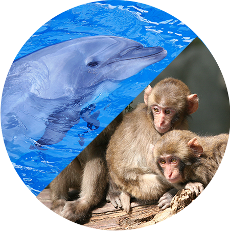 うみたまご＆高崎山自然動物園